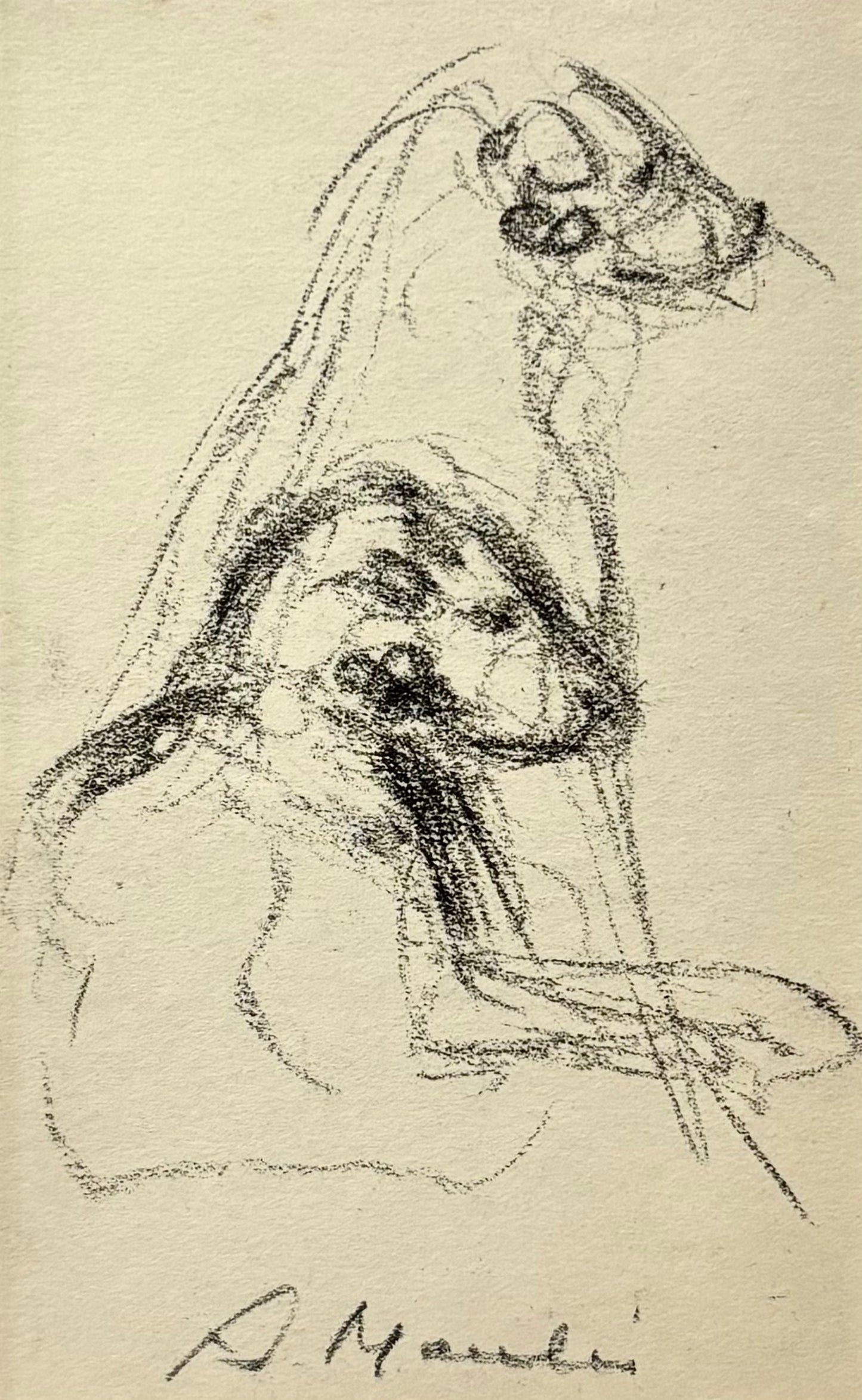 Alexandre Moulis